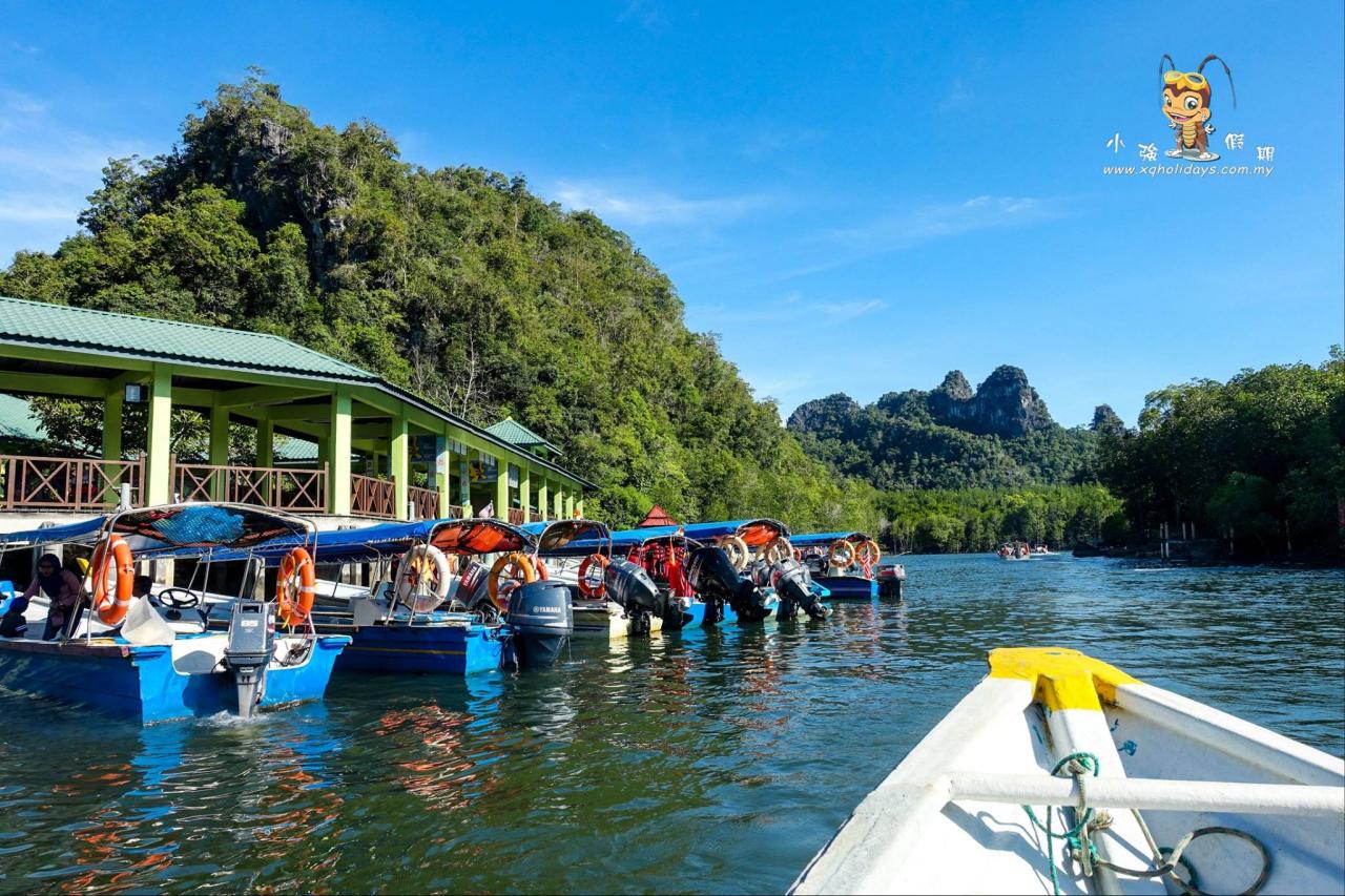 Jelajahi Ekosistem Unik Langkawi dengan Mangrove Tour